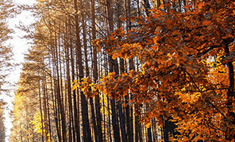 老熊亲授！如何提高头条号或公众号出爆文概率及账号诊断保密要点？